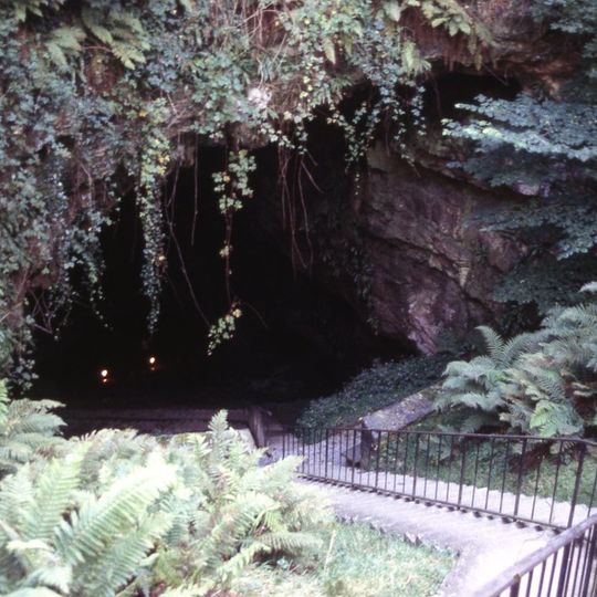 Mitchelstown Cave