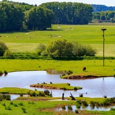 Landschaftsschutzgebiet "Beeder Bruch" (L 6609-308)
