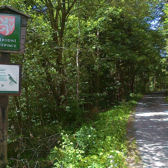 Přírodní rezervace Skalní potok