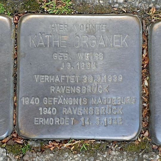 Stolperstein dedicated to Moritz Organek