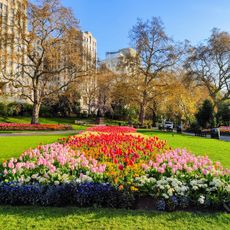 Victoria Embankment Gardens