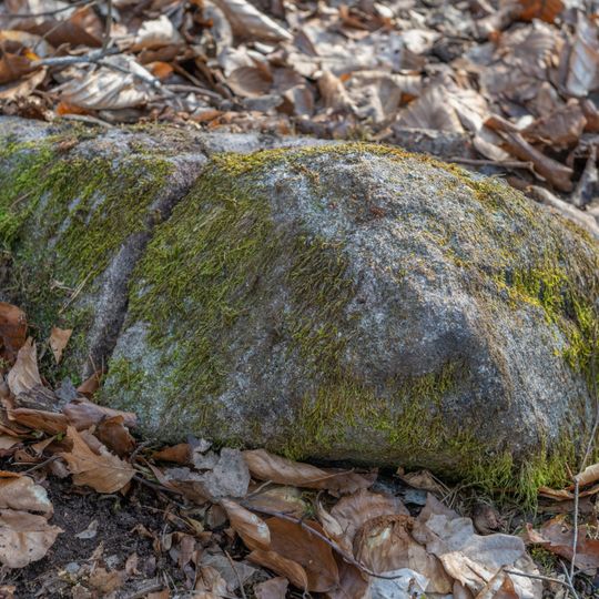 Grenzstein Untere Gemeinde in Fürth