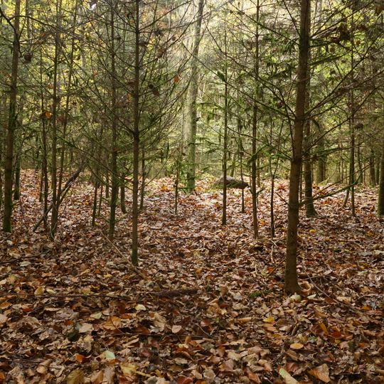 Großsteingrab Sachsenwald Fahrenhorst 1