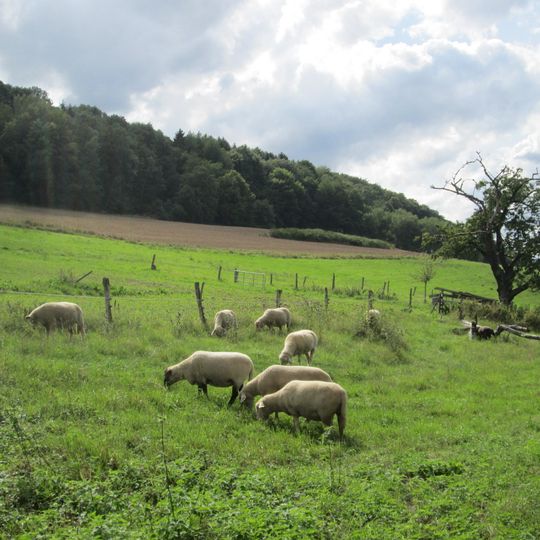 Wisch- und Wogbachtal