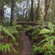 Reserva natural integral del Pijaral