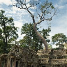 Ta Prohm
