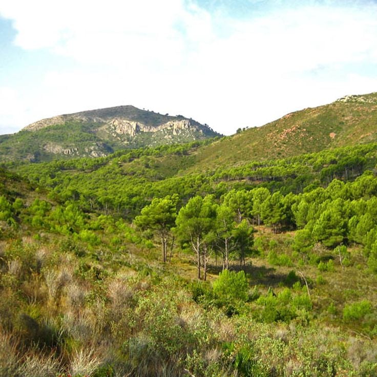 Désert de les Palmes