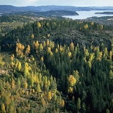 Borgberget (Ytterlännäs)