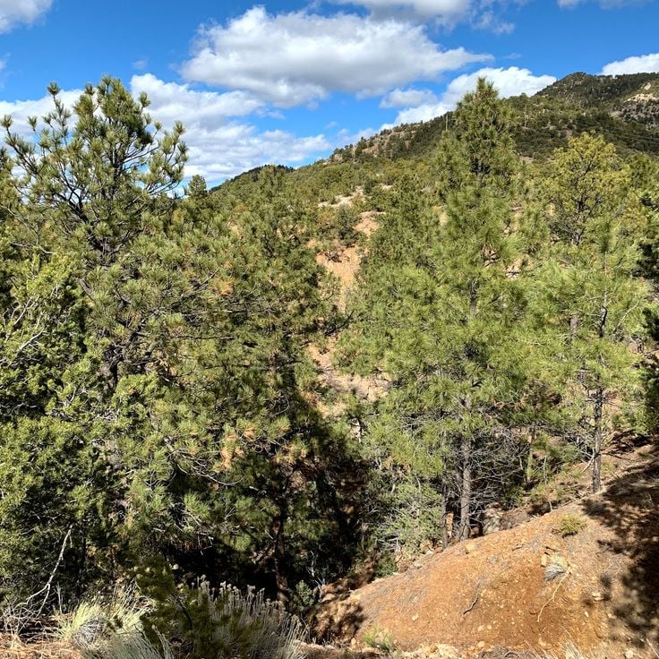 Trasa Atalaya Mountain