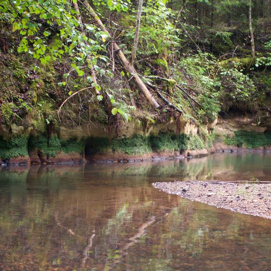 Vaives lejteces ieži