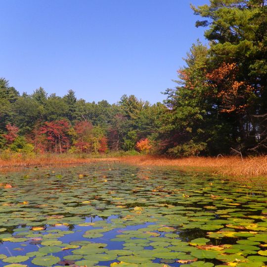 Hampton Ponds State Park