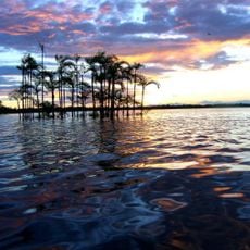 Riserva faunistica Cuyabeno