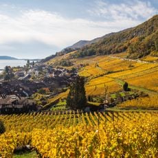 Rive gauche du lac de Bienne