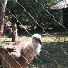 Palić Zoo