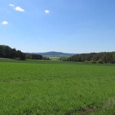 Dalwigker Holz und Gebranntes Holz bei Korbach