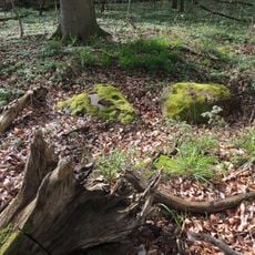 Großsteingrab Malchin 3