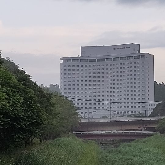 ANA Crowne Plaza Narita
