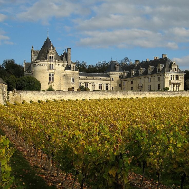 Castle of Brézé