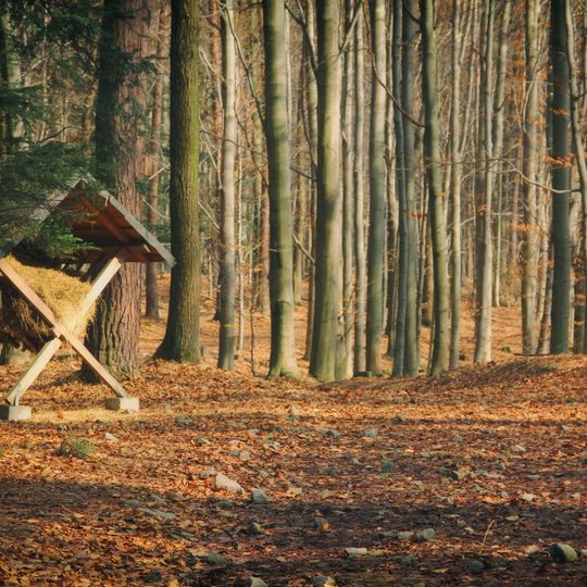 Rezerwat przyrody Kozie Kąty
