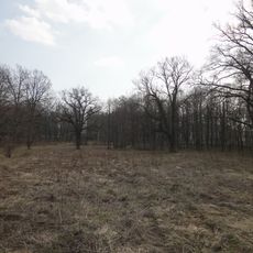 Park, poł. XVIII w., poł. XIX w.