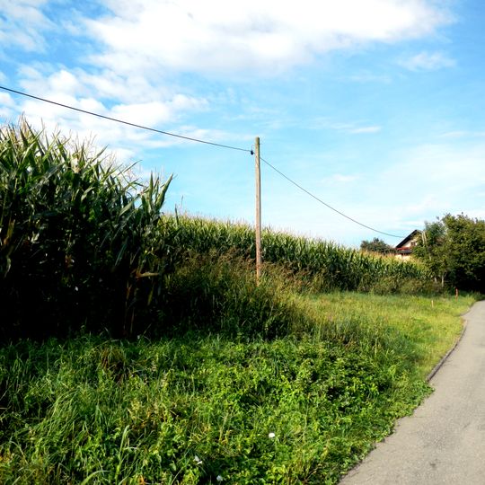 Bauerngmein Graschuh