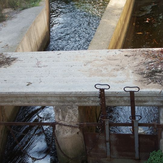 Llengües de Paiporta