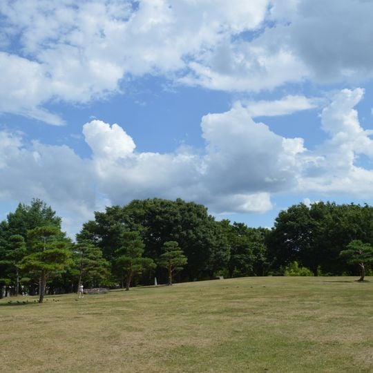 Wakasato Park