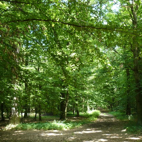 Veselský háj a rybník Smrkovák