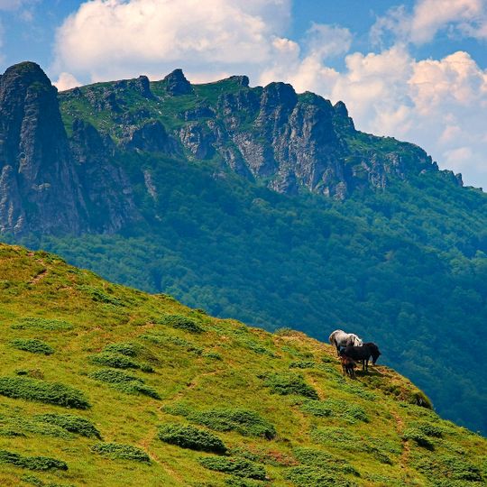 Stara Planina Nature Park