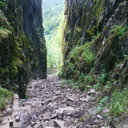 Réserve naturelle de Mørkgonga