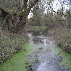 Begwary Brook
