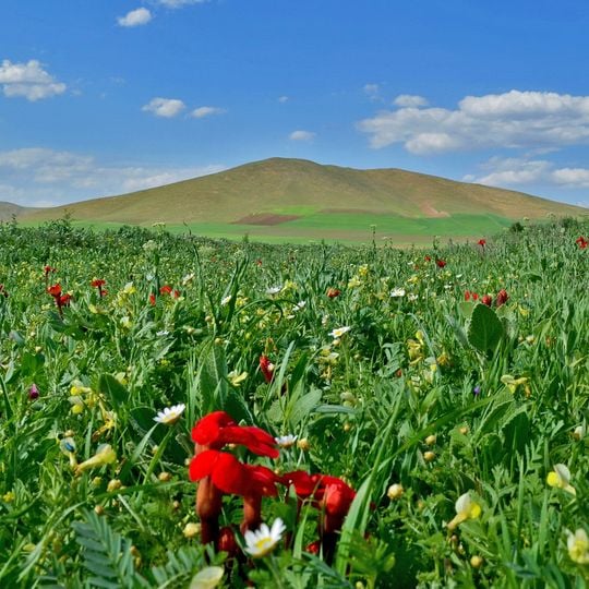 Azerbaiyán Occidental