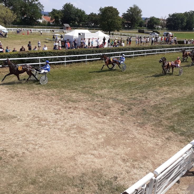 Georges du Breil Racecourse