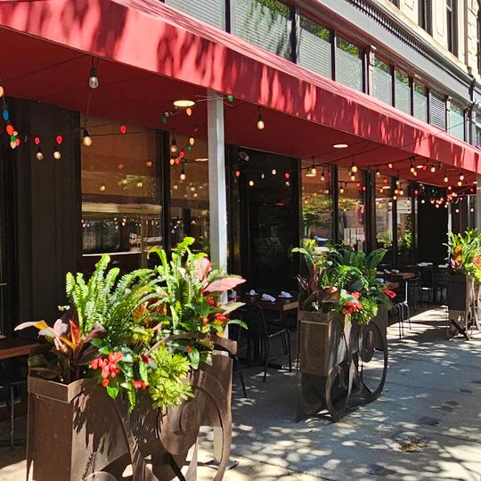 Xoco