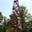 Mohican State Park Feuerturm