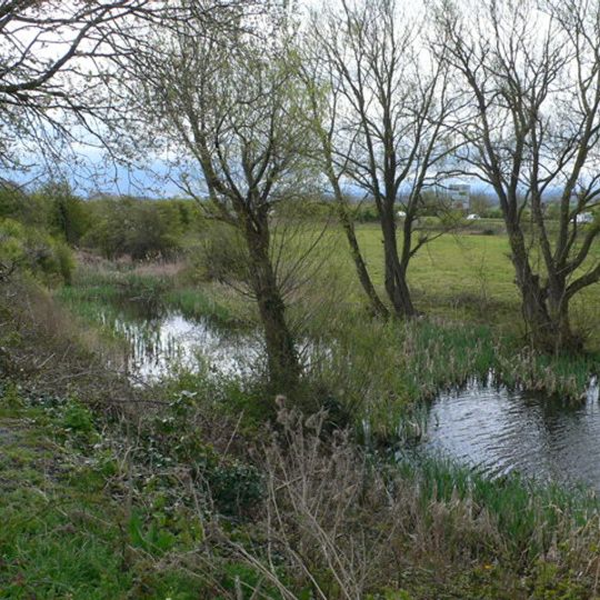 Rhuddlan Nature Reserve