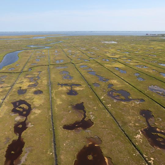 Edwin B. Forsythe National Wildlife Refuge
