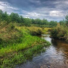 Dead Stream Swamp