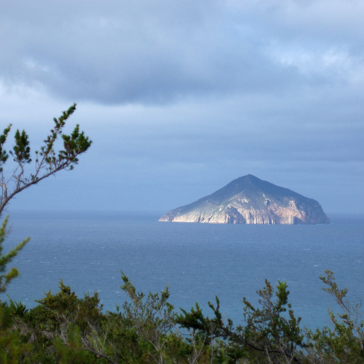 rodondo-island-nature-reserve-on-a-granite-island-in-bass-strait