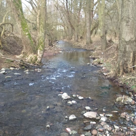 Baumbestand u.Ufervegetation am Wildbach Steinigwiesen/Mühlwiesen