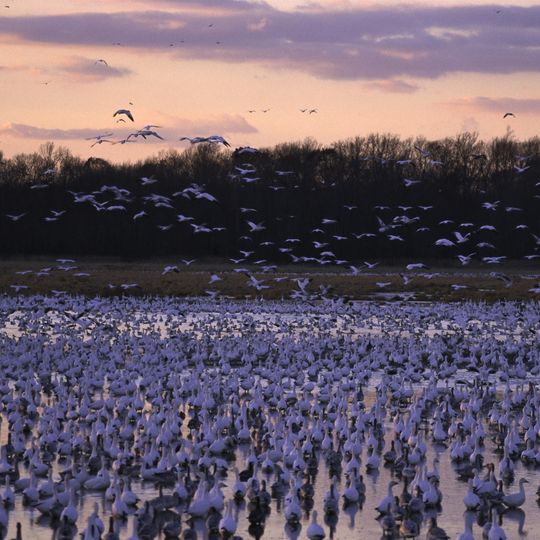 Bombay Hook National Wildlife Refuge