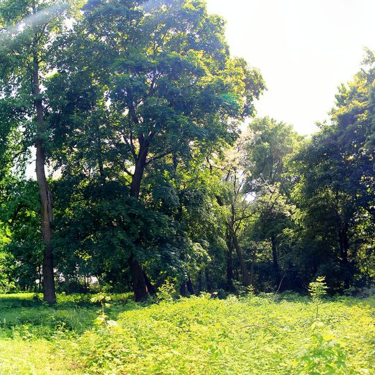 Park in Porszewice