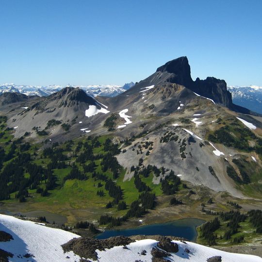 Black Tusk