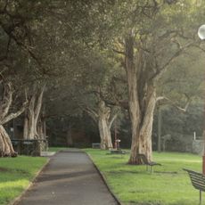 Anderson Park, Neutral Bay