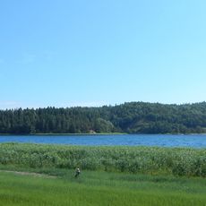 Reddalsvannet