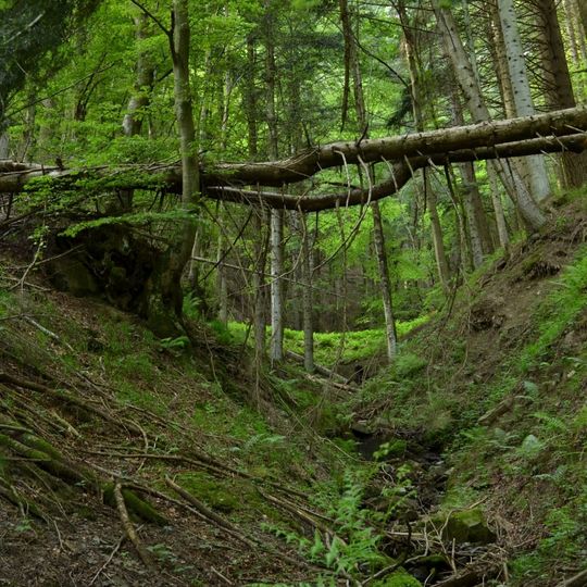 Riserva naturale Acquerino