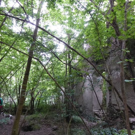 Ruins of Toenisstein monastery