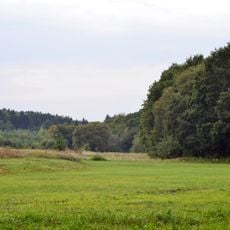 Buzhanivskyi nature reserve