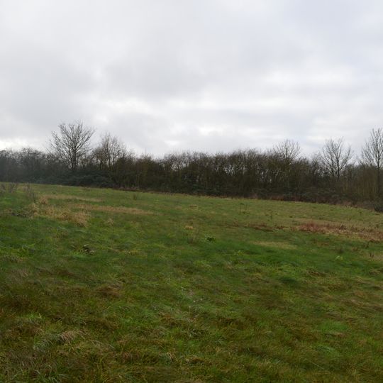 Stone SSSI, Buckinghamshire