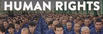 Raphaël Glucksmann Profile Cover